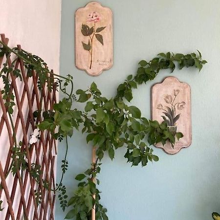 Nina'S House In The Center Of Волос Екстериор снимка